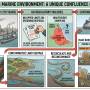 260910-river_tees_marine_environment_-_a_unique_confluence_of_threats_-_gemini_generated_image_s4l0rps4l0rps4l0.jpeg